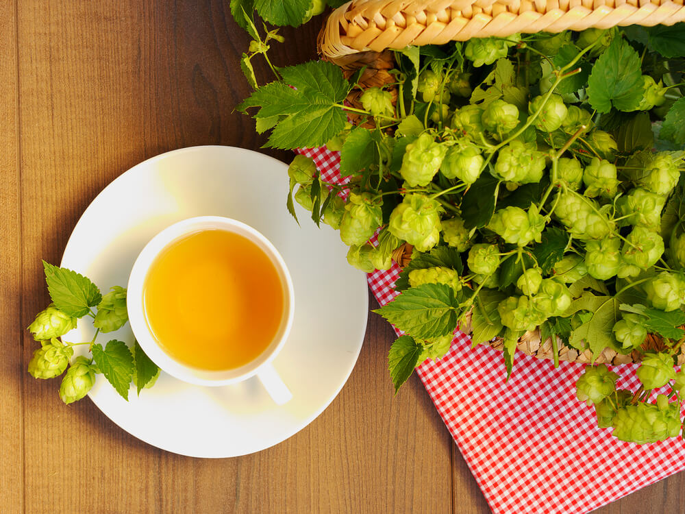 Top view of cup of hop tea, basket filled with hope blossom, wooden plank,