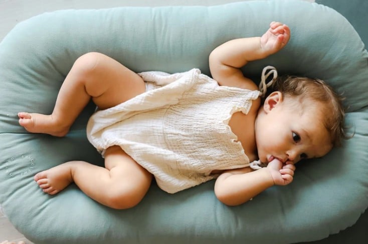 Snuggle Me Organic lounger.